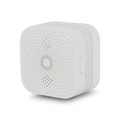 CH4 Gas Alarm Detector For Hilton Hotel Use With CE RoHS