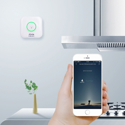 70dB Smart WIFI LPG Leakage Alarm CH4 Methane Gas Detector For Home