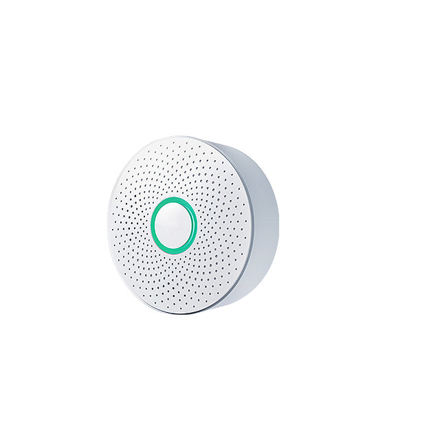EN Wired Smart Gas Alarm Detector Natural CH4 Methane For Home