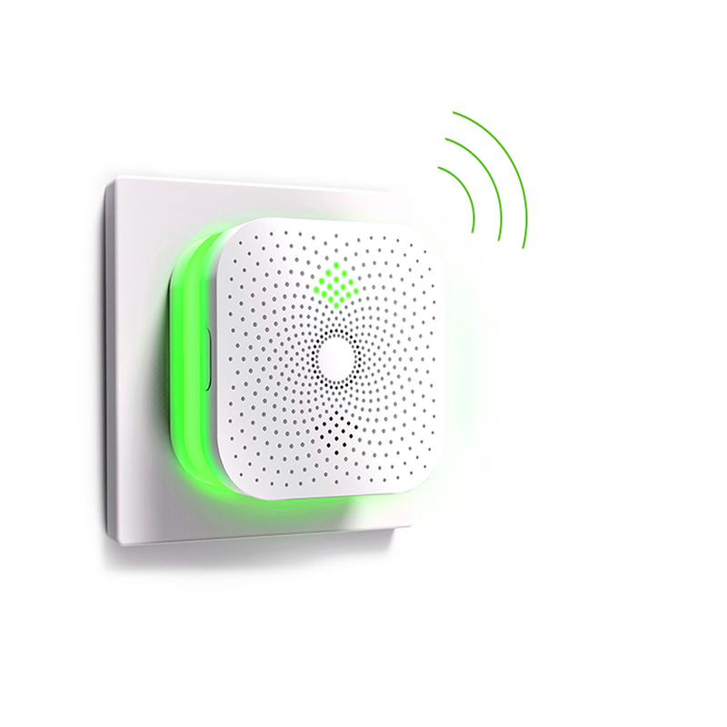CH4 Gas Alarm Detector For Hilton Hotel Use With CE RoHS