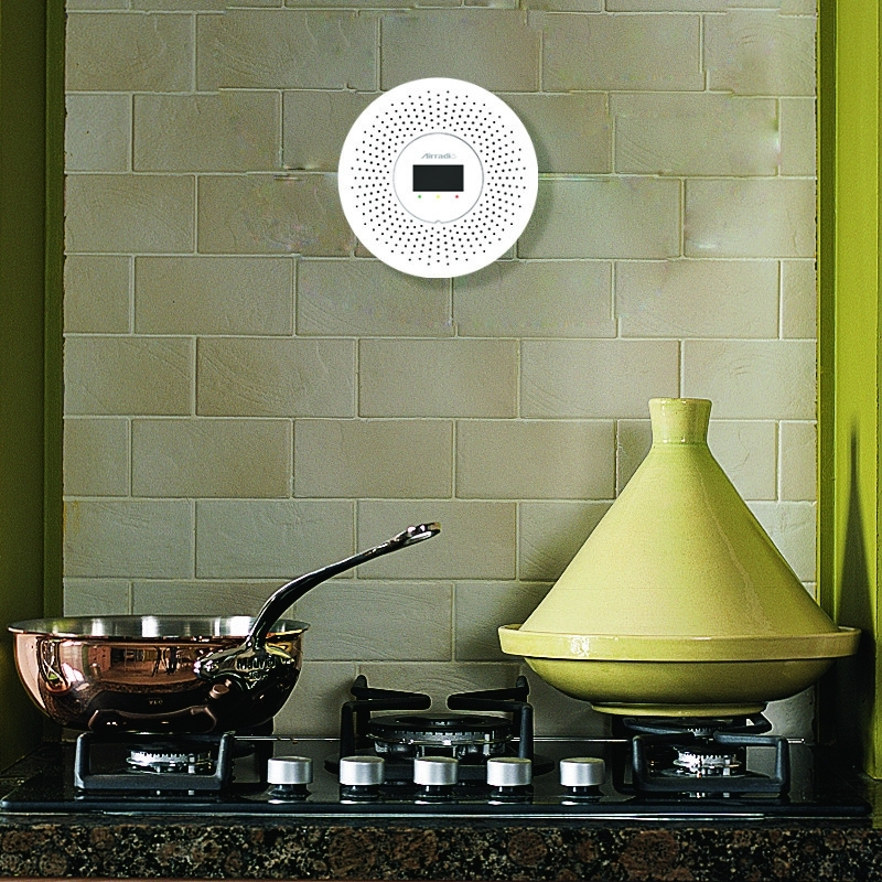 Indoor Independent Combustible LPG Gas Alarm For Kitchen Security