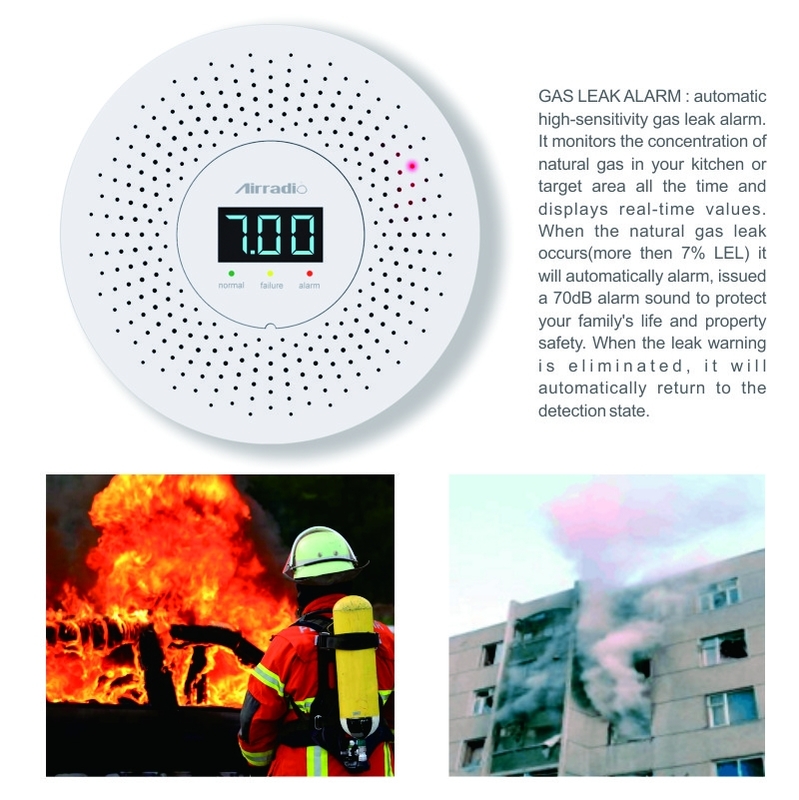 Indoor Independent Combustible LPG Gas Alarm For Kitchen Security