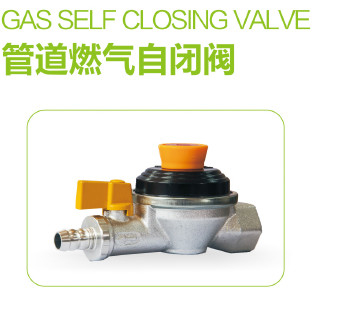 OEM ODM Self Closing 2.0KPa Gas Cut Off Valve For Small Engines