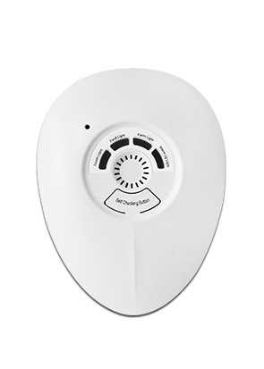 Reliable RoHS IP30 CH4 LPG C3H8 Gas Alarm Detector For Kitchen Safety