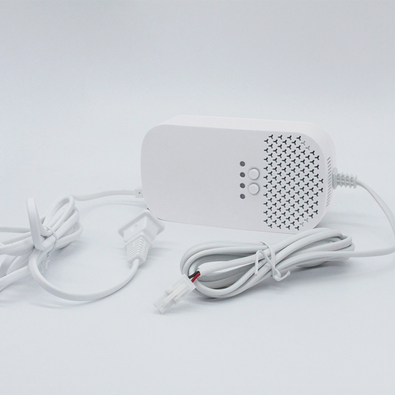 CE Visual Audible Household Gas Detector Alarm Semiconductor 2 In 1 Gas Detector