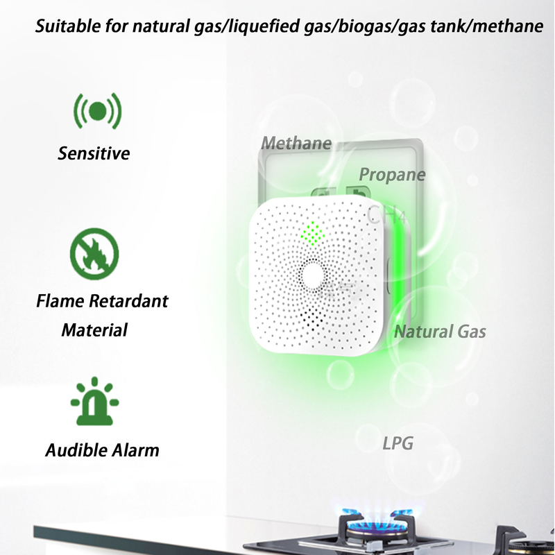 2KW.H Gas Alarm Detector AC90V-265V RV Propane Detector
